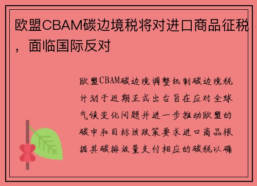欧盟CBAM碳边境税将对进口商品征税，面临国际反对